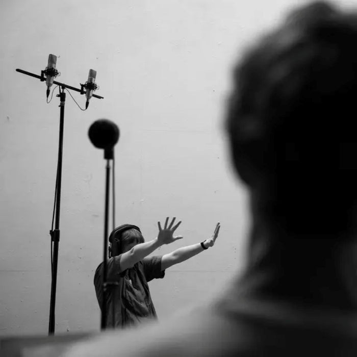 Musarc and Heleen Van Haegenborgh Affordances Vinyl LP 2025