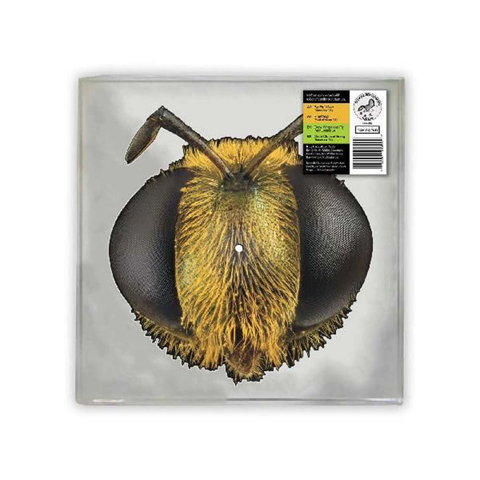 King Gizzard & The Lizard Wizard Big Fig Wasp Vinyl LP Bee Face Picture Disc RSD 2026
