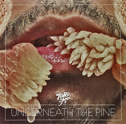 Toro Y Moi Underneath The Pine Vinyl LP (US) 2017