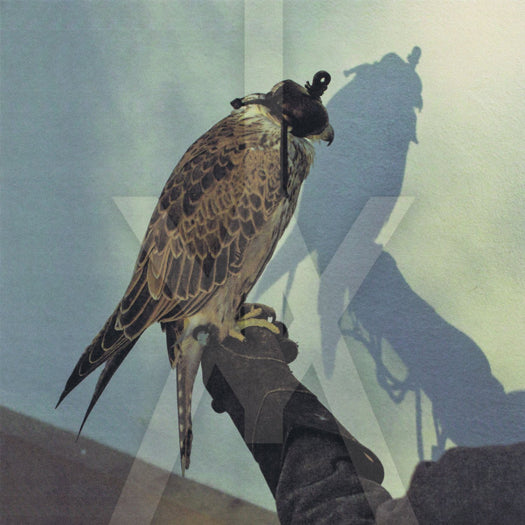 ICEAGE YOURE NOTHING Vinyl LP 2013