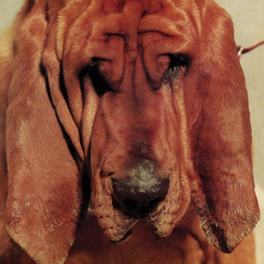 Ty Segall Goodbye Bread Vinyl LP 2011