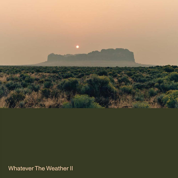 Whatever The Weather Whatever The Weather II Vinyl LP Due Out 14/03/25