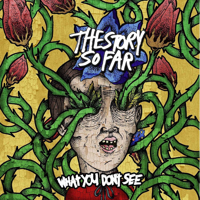 The Story So Far What You Don't See Vinyl LP Marble Colour 2025