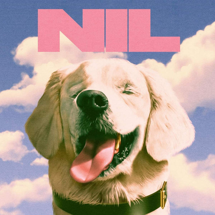 The Dirty Nil - Fuck Art Vinyl LP 2021
