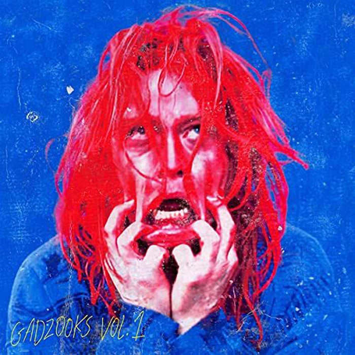 Caleb Landry Jones Gadzooks Vol. 1 Vinyl LP 2021