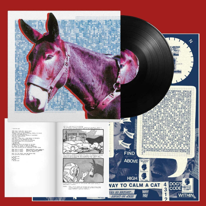 Protomartyr Ultimate Success Today Vinyl LP 2020