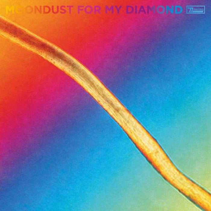 Hayden Thorpe Moondust For My Diamond Vinyl LP 2021