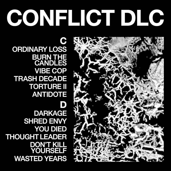 Health Conflict DLC Vinyl LP 2025