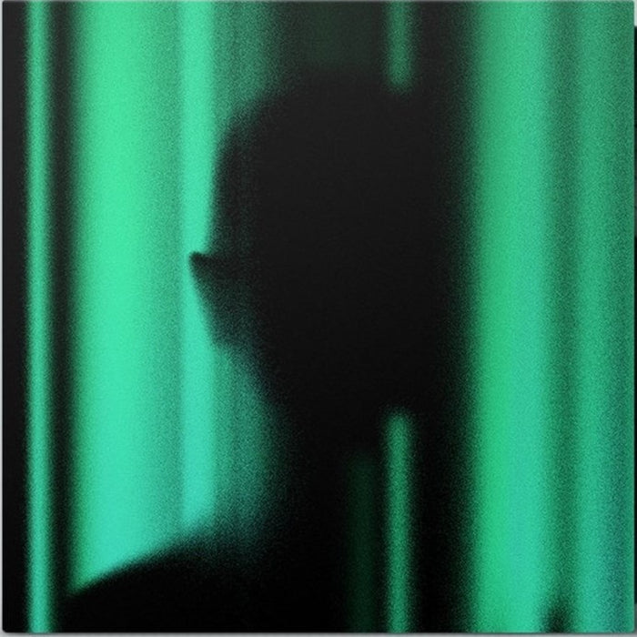 Loraine James Detached From The Rest Of You Vinyl LP Due Out 22/05/26