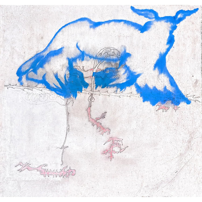 SLOW FICTION DOLLHOUSE Vinyl LP Due Out 07/08/26