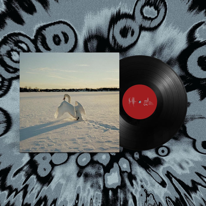 Sour Widows Sigil Vinyl LP Due Out 23/10/26