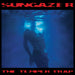 The Temper Trap Sungazer Vinyl
