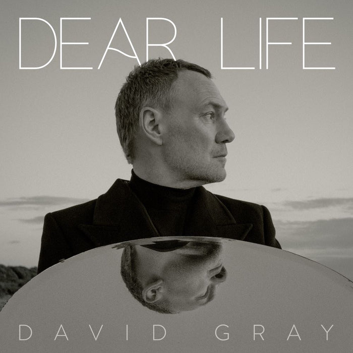 David Gray Dear Life Vinyl LP Indies Seaweed Green Colour 2025