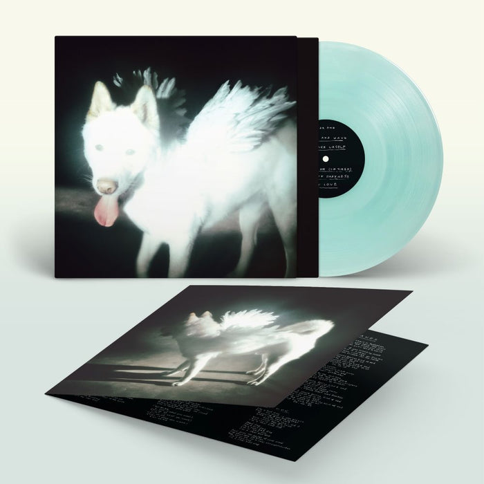 Fat Dog Cancel Me (I'm Tired) Vinyl LP Indies Coke Bottle Green Colour Due Out 02/10/26