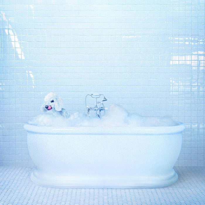 Frankie Cosmos Vessel Vinyl LP Indies Blue Colour 2018