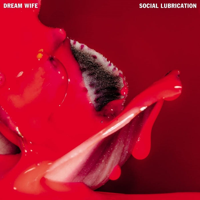 Dream Wife Social Lubrication Vinyl LP Indies Deluxe Red & Black Colour + 7" Flexi 2023