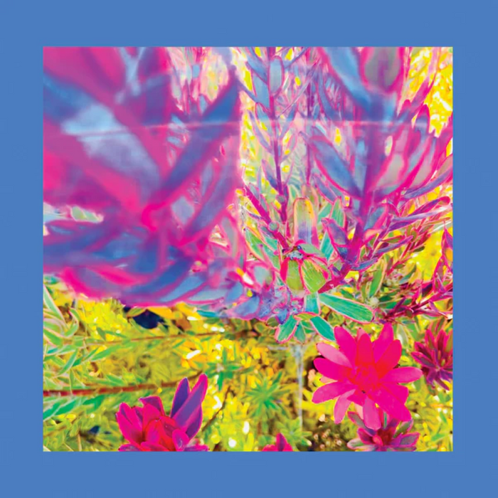 The Reds Pinks and Purples The Past is a Garden I Never Fed Vinyl LP 2025