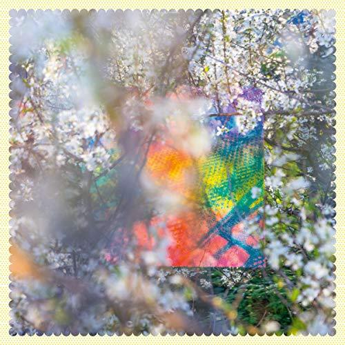 Four Tet - Sixteen Oceans Vinyl LP 2020