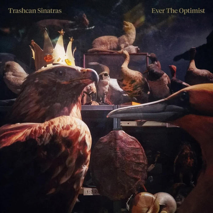 Trashcan Sinatras EVER THE OPTIMIST CD Due Out 31/07/26