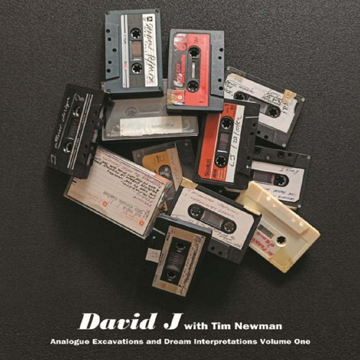 David J With Tim man Analogue Excavations & Dream Interpretations Volume 1 Vinyl LP Red Colour RSD 2022