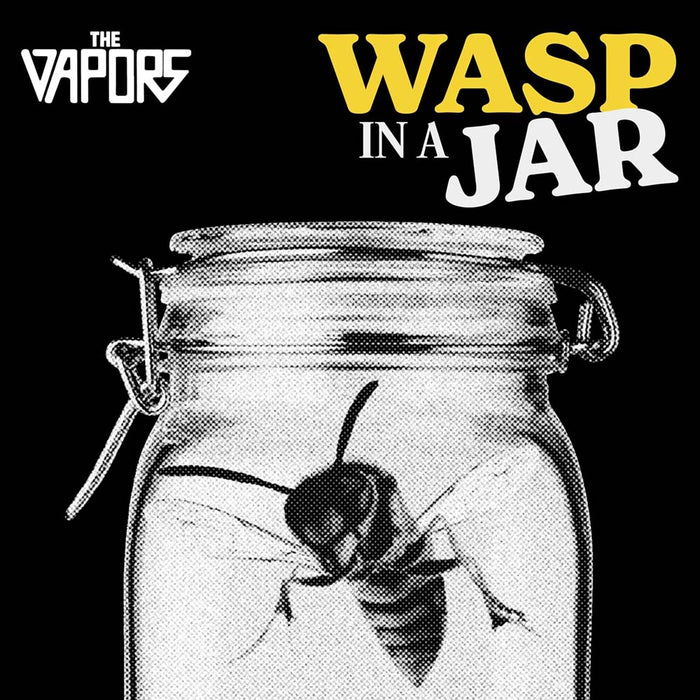 The Vapors Wasp In A Jar Vinyl LP Due Out 28/02/25