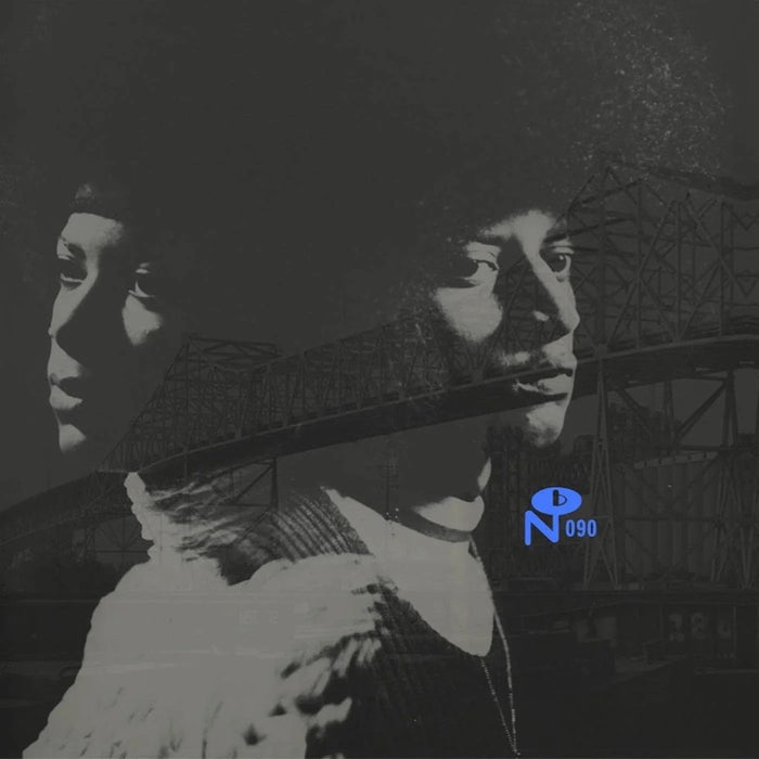 Skyway Soul: Gary Indiana Vinyl LP 2023