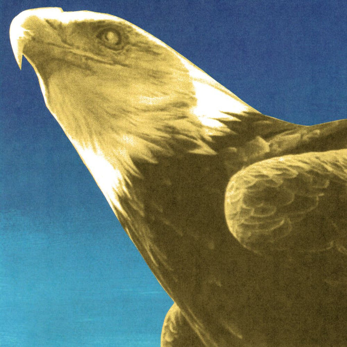 Protomartyr Hotel Usona Vinyl LP Due Out 25/09/26