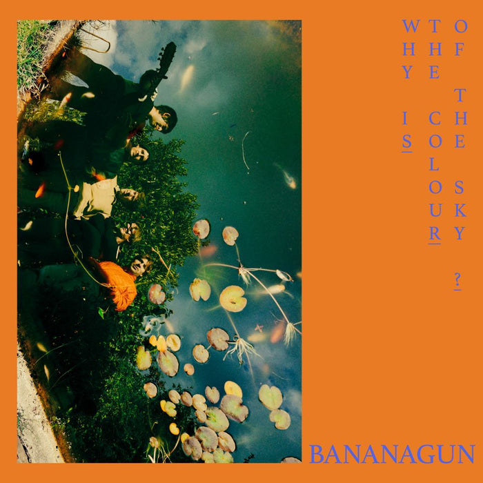 Bananagun Why is the Colour of the Sky? Vinyl LP 2024 Ltd Dinked Edition #310