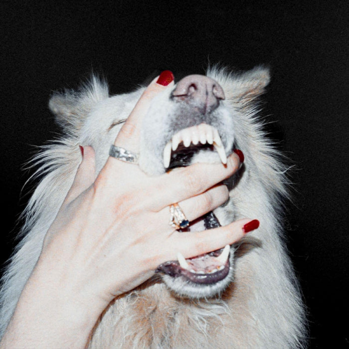 Porch Light Hush Vinyl LP Due Out 16/10/26