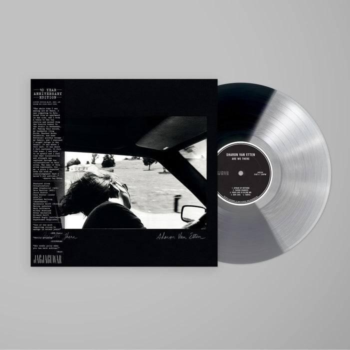 Sharon Van Etten Are We There Vinyl LP 10th Anniversary Black, Grey & Silver Split Colour 2024