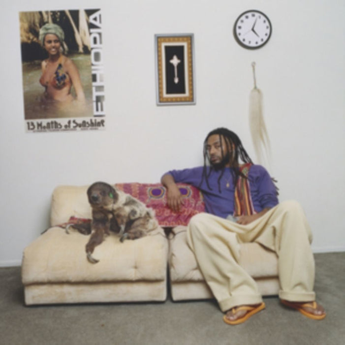 Aminé 13 Months of Sunshine Vinyl LP 2025