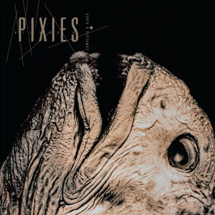 Pixies Complete B Sides: 1988-97 (Remastered) Vinyl LP Due Out 26/06/26
