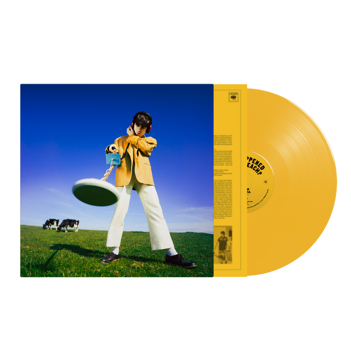 Declan McKenna What Happened to the Beach? Vinyl LP Indies Sun Yellow Colour 2024