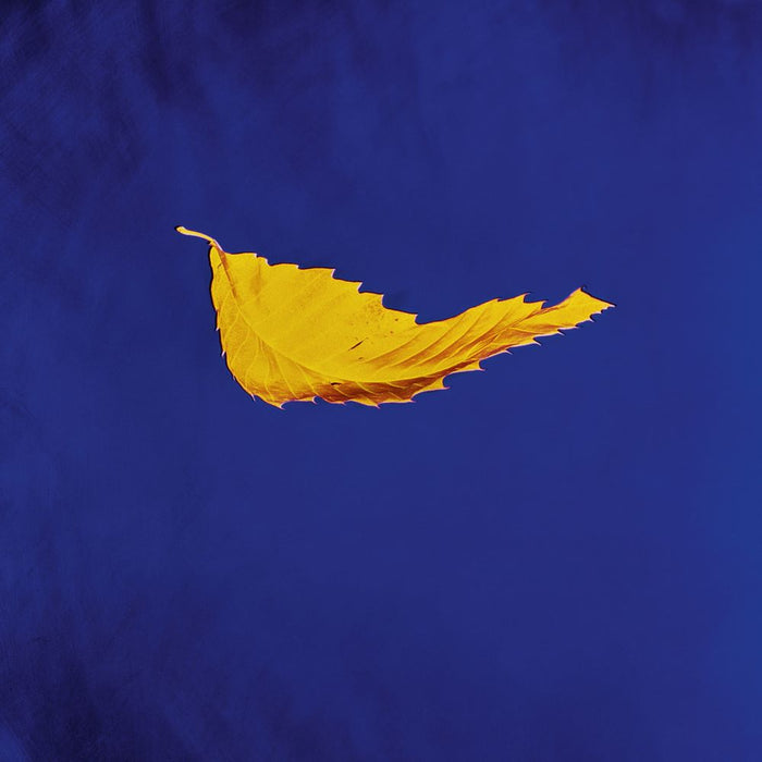 New Order True Faith 12" Vinyl Single 2023