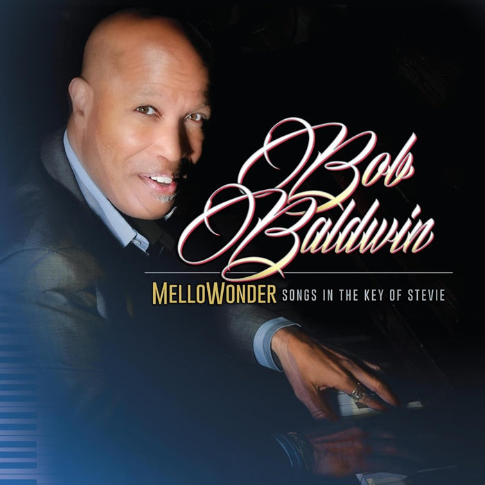 Bob Baldwin MelloWonder Songs In The Key Of Stevie Vinyl LP 2024
