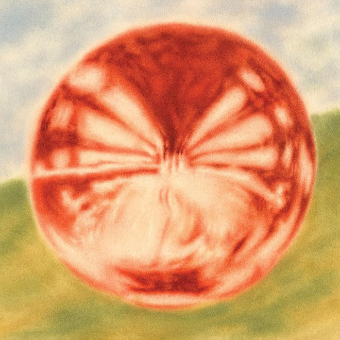 Bloomsday Heart Of The Artichoke Vinyl LP
