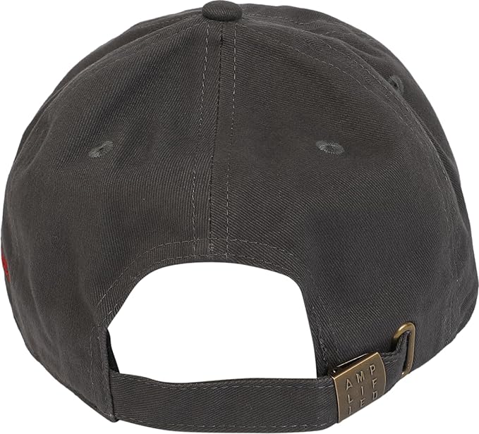 Foo Fighters Logo Amplified Charcoal Baseball Cap