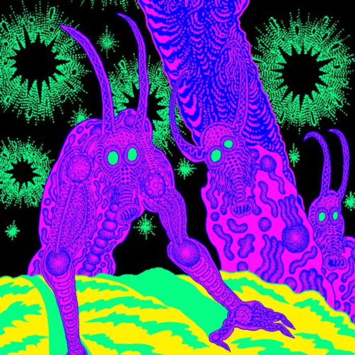 OSEES ABOMINATION REVEALED AT LAST Vinyl LP 2025