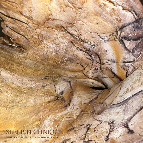 Demetrio Castellucci & Massimo Pupillo Sleep Technique Vinyl LP 2026