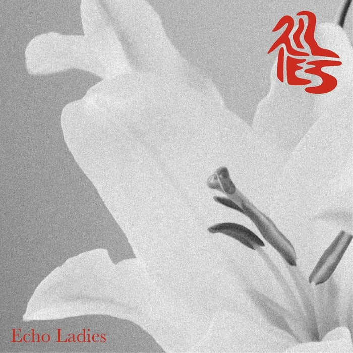 Echo Ladies Lilies Vinyl LP Silver Colour 2023