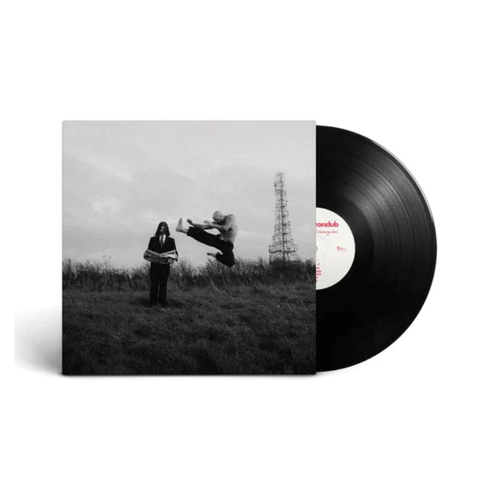 The Royston Club Shaking Hips And Crashing Cars Vinyl LP 2023