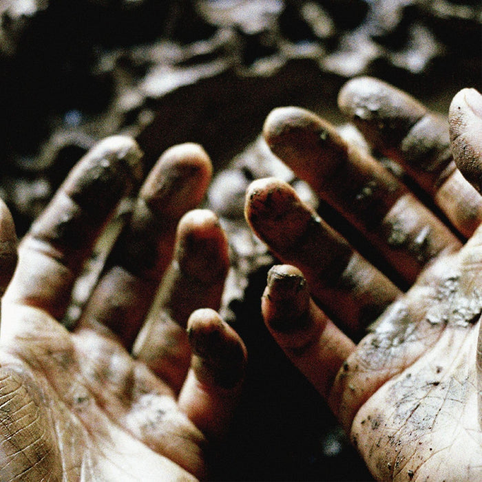 Dis Fig What To Make Of These Mortal Hands Vinyl LP  Due Out 23/10/26