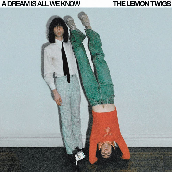 The Lemon Twigs A Dream Is All We Know Vinyl LP Ice Cream Colour 2024