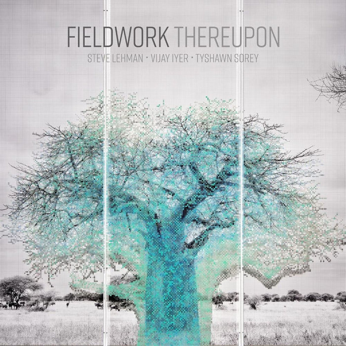 Fieldwork Thereupon Vinyl LP 2025