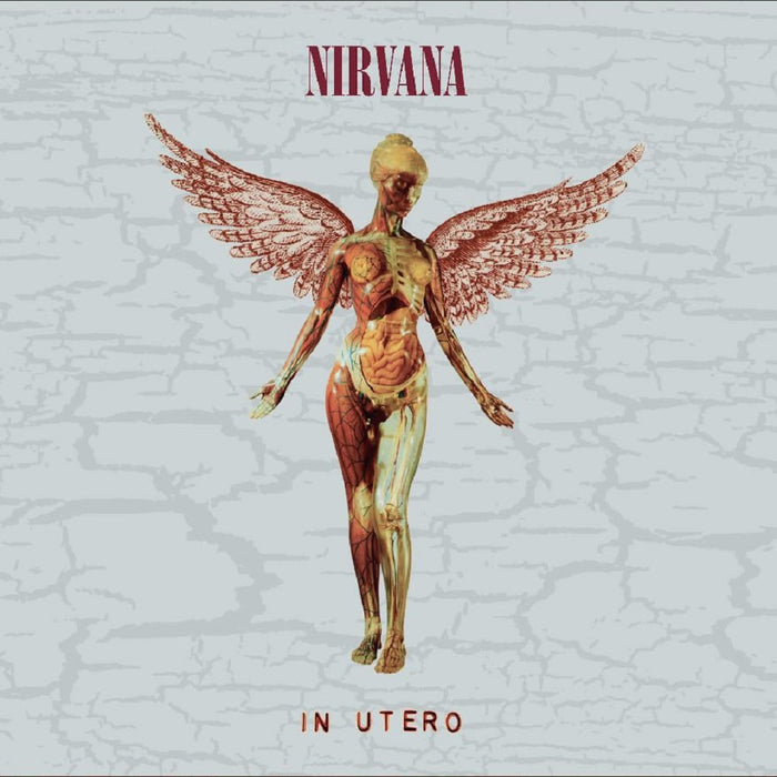 Nirvana In Utero Vinyl LP Boxset 2023