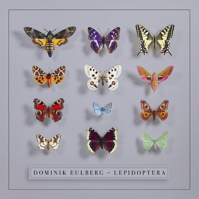 Dominik Eulberg Lepidoptera Vinyl LP 2025