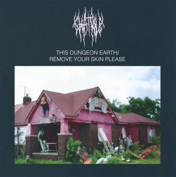 Chat Pile This Dungeon Earth / Remove Your Skin Please Vinyl LP 2025