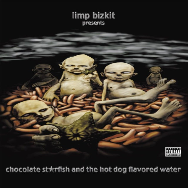 Limp Bizkit Chocolate Starfish & The Hot Dog Flavored Water Vinyl LP 2024