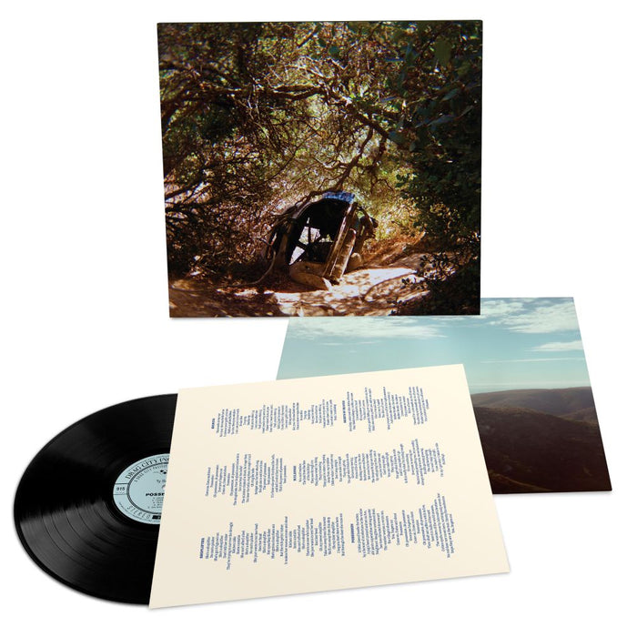 Ty Segall Possession Vinyl LP 2025