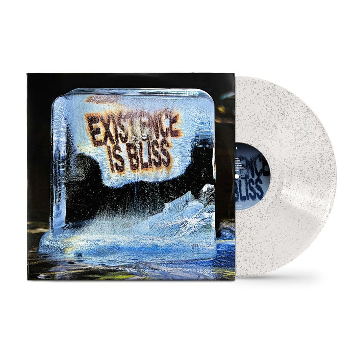 DEADLETTER Existence is Bliss Vinyl LP Transparent Sparkle Colour + Signed Print 2026